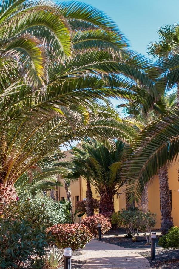 Fuerteventura Apartments Tamarindo 1 Corralejo Luaran gambar